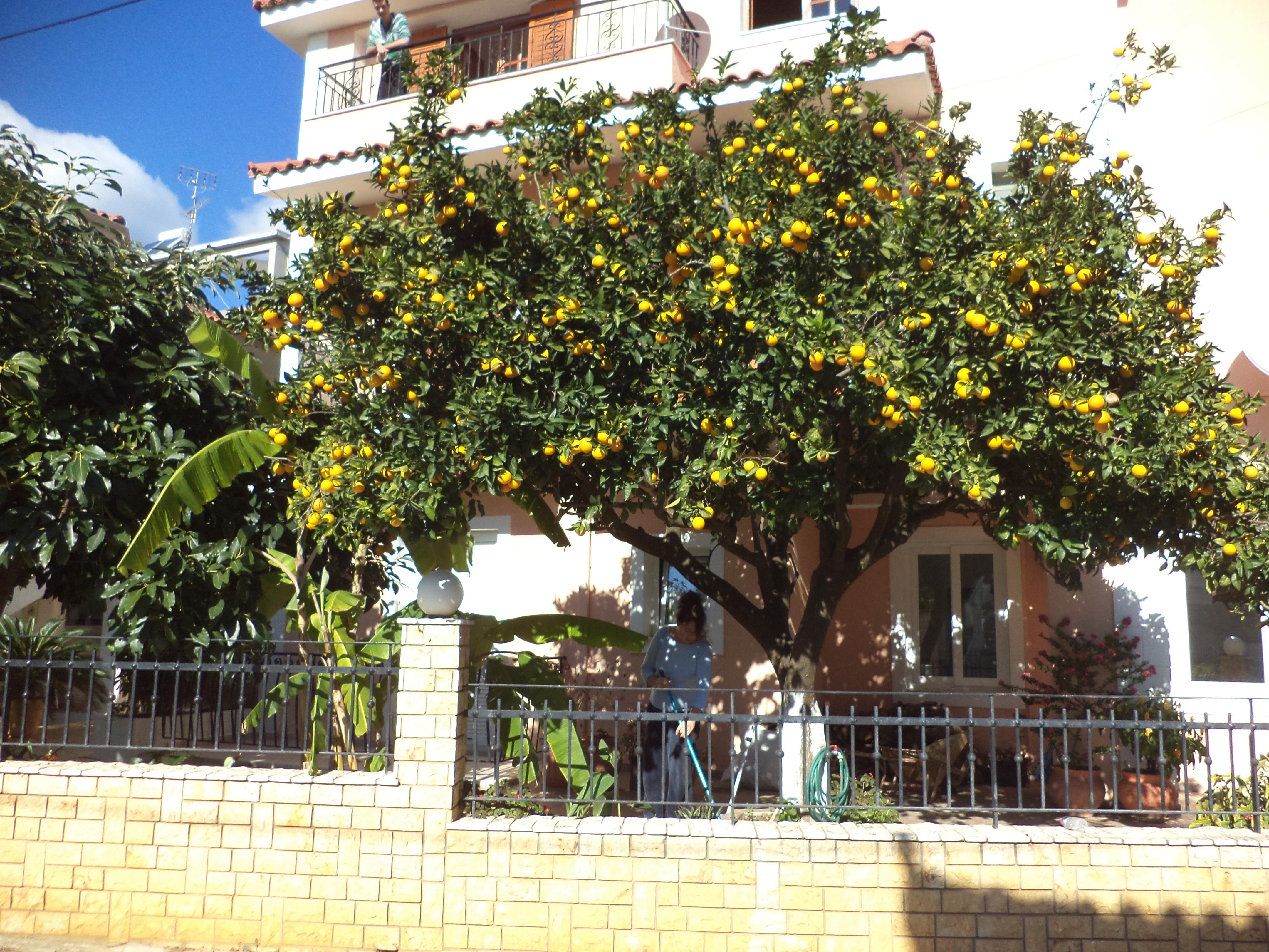 Dionysios Studios Skala  Exterior photo
